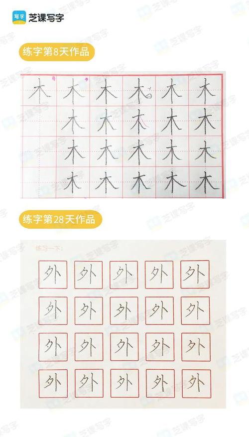 成人怎么静下心练字视频,成人高效习字指南