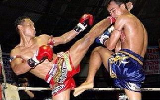 女成人拳击培训视频大全