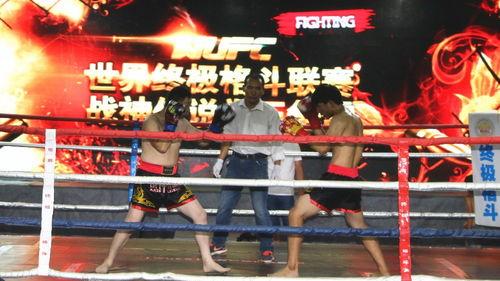 东明格斗成人比赛视频,激情四溢的巅峰对决