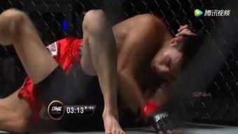 成人散打教练视频,视频教学解析