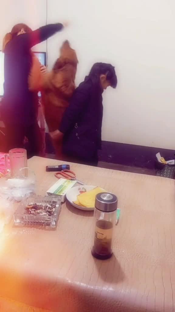 成人玩脑力球好吗视频,成人提升认知能力的趣味之道