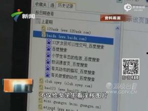 男女的人成人视频,男女差异与互动解析