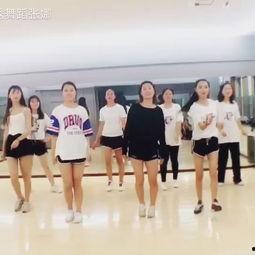 成人舞蹈课教学视频大全,成人舞蹈课教学视频大全精华汇总