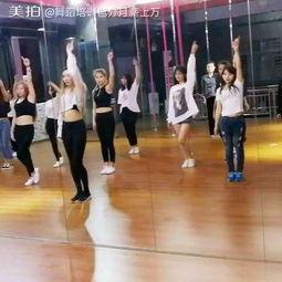 成人学韩舞视频大全,成人学韩舞视频大全精选解析
