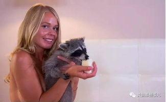 欧美成人与动物视频,伦理争议与法律边界