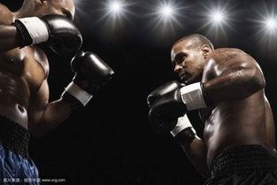 拳击训练全套成人动作视频,拳击训练全套成人动作视频精华解析