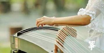 成人古筝宣传视频文案,探索古筝艺术的魅力之旅