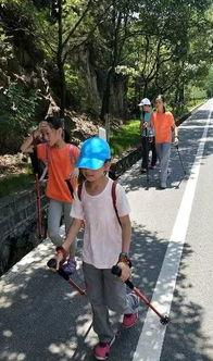 成人徒步闯关游戏视频,成人徒步闯关游戏精彩瞬间回顾