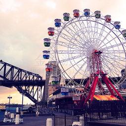 成人的游乐园视频,成人游乐园精彩瞬间回顾