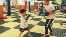 成人学散打实战视频教学,跟随散打高手视频学技巧与策略