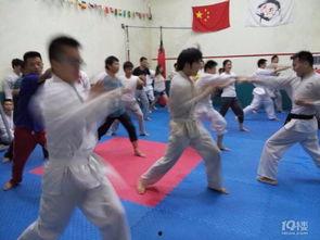 成人学散打实战视频教学,跟随散打高手视频学技巧与策略