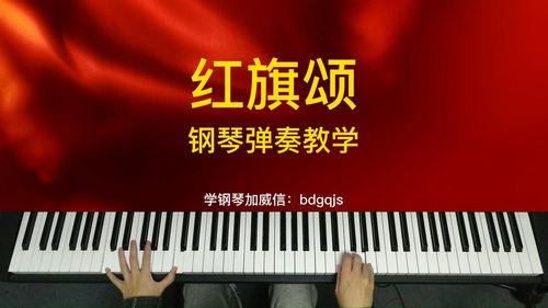 成人快速学曲子视频大全,成人学曲视频大全精选解析
