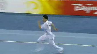 成人武术拳展示视频,一招一式展现中华武术魅力