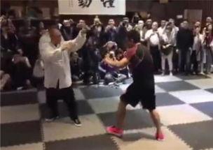 成人武术拳展示视频,一招一式展现中华武术魅力