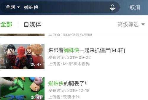 视频成人化,背后原因与影响分析