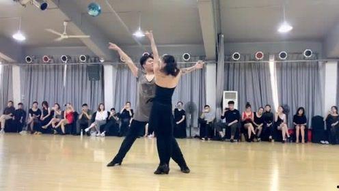 国标舞蹈视频成人,探寻舞蹈艺术与生命律动的完美融合