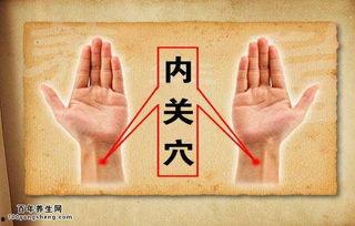 成人湿疹艾灸治疗视频大全,视频大全解析