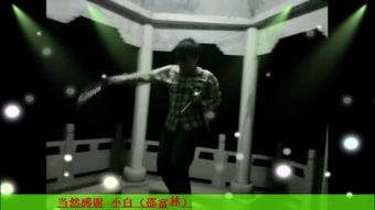 双截棍成人李小龙视频大全,视频大全中的武术传奇