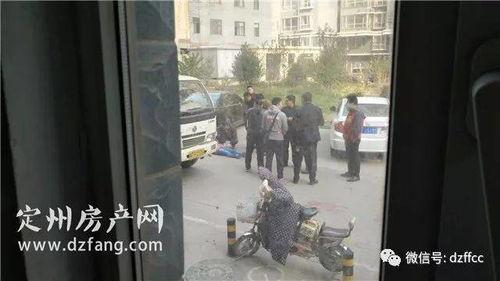 成人坠楼死亡案例视频,揭秘成人坠楼死亡案例背后的真相