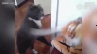 搞笑视频超级爆笑成人,超级爆笑视频，成就非凡人生瞬间