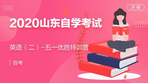 成人高考讲课视频英语,成人高考英语课程视频精华概述