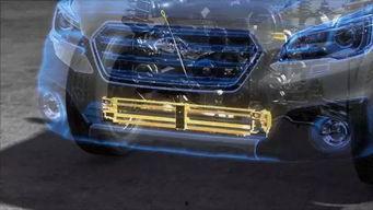 成人识车视频  第1张