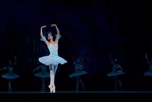 成人手眼协调舞蹈视频,揭秘成人舞蹈视频中的神奇魅力  第2张