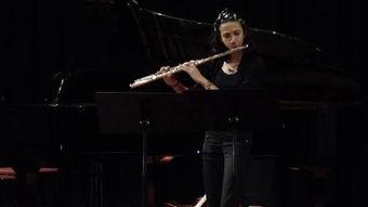 长笛成人组比赛视频,技艺与激情的完美融合  第3张