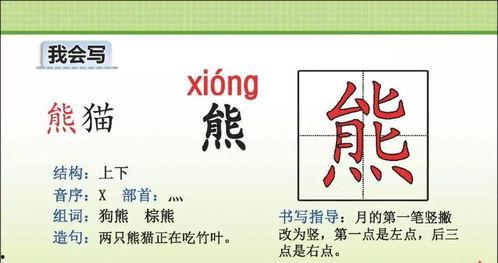 成人识字怎么教学视频讲解,轻松掌握阅读与写作技巧