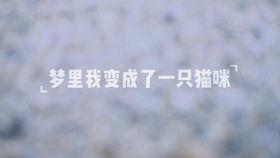 滑板成人炫酷视频,尽享极限运动风采  第1张