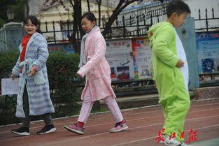 成人结伴上学视频,成人结伴上学新风尚  第2张