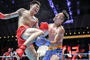 南京成人散打比赛视频,南京成人散打比赛精彩瞬间回顾  第1张