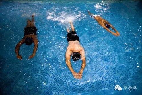 成人游泳训练浮球视频  第1张