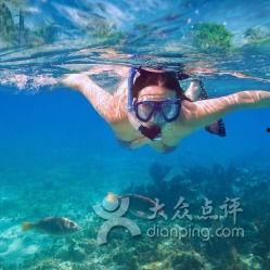 成人游泳训练浮球视频  第3张