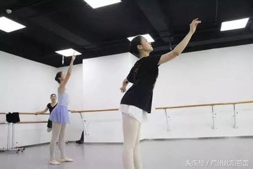 成人芭蕾课程视频教学,从基础动作到优雅舞步的进阶之旅  第1张