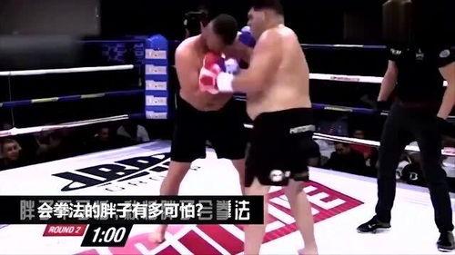 胖子成人搏击视频大全,挑战极限，展现搏击精神  第2张